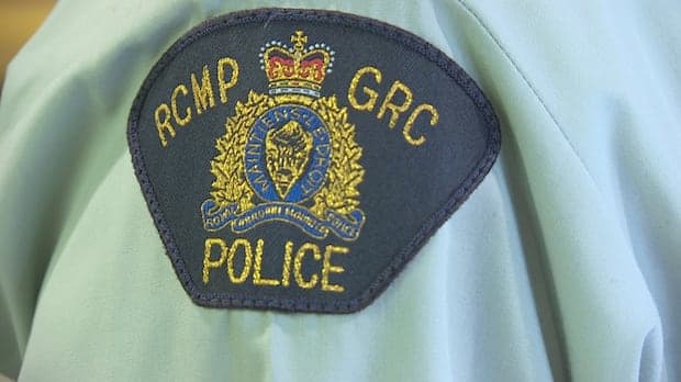 Bathurst man killed in motorbike-moose collision near Miramichi