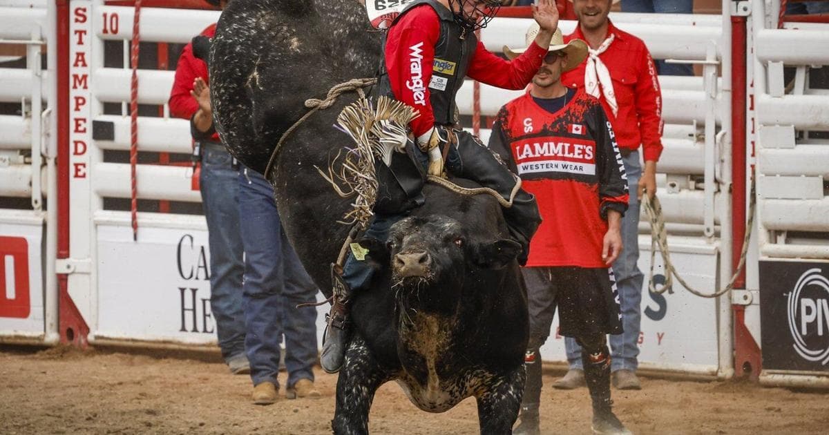 Grady Young Rides Momentum Into Calgary Stampede Amid Bull Riding Surge