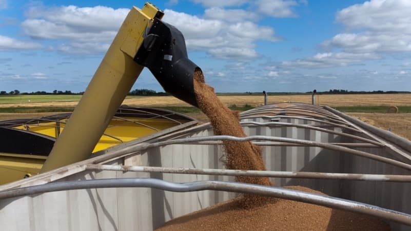 Harvest Progress Interrupted by Unstable Weather Across Manitoba and Saskatchewan