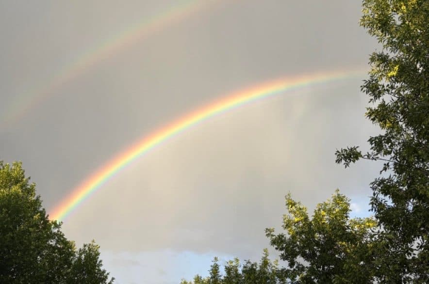 Heavy Rainfall Brings Mixed Outcomes for Saskatchewan Agriculture in Early Summer