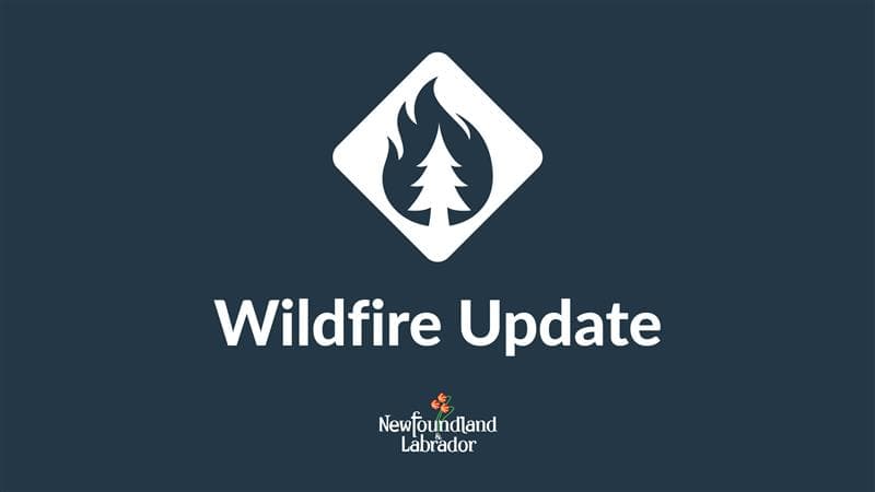 Newfoundland and Labrador faces active wildfires and prolonged rebuilding delays