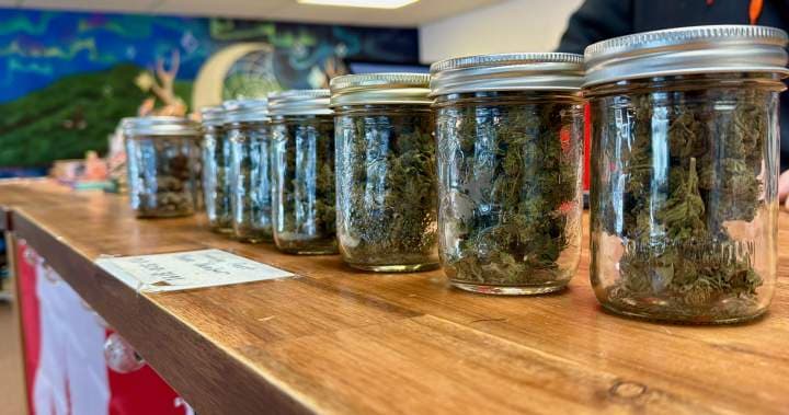 Nova Scotia Implements Higher Cannabis Fines and New Offences Amid Market Tensions