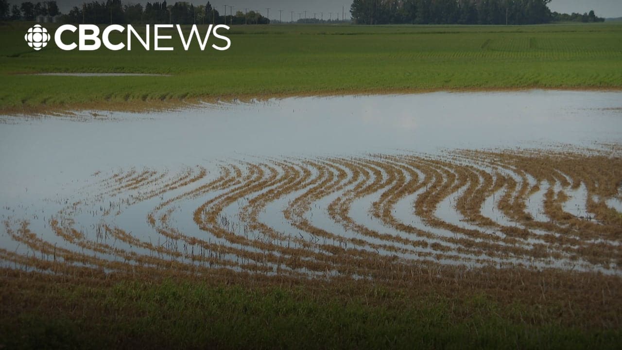 Saskatchewan Farmers Confront Adverse Weather Conditions Amid Growing Season