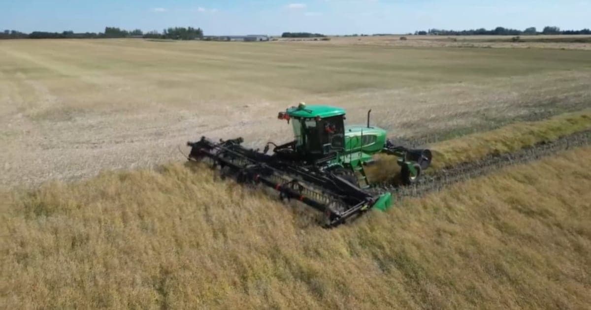 Saskatchewan Harvest Progress Lags Amid Variable Weather Conditions