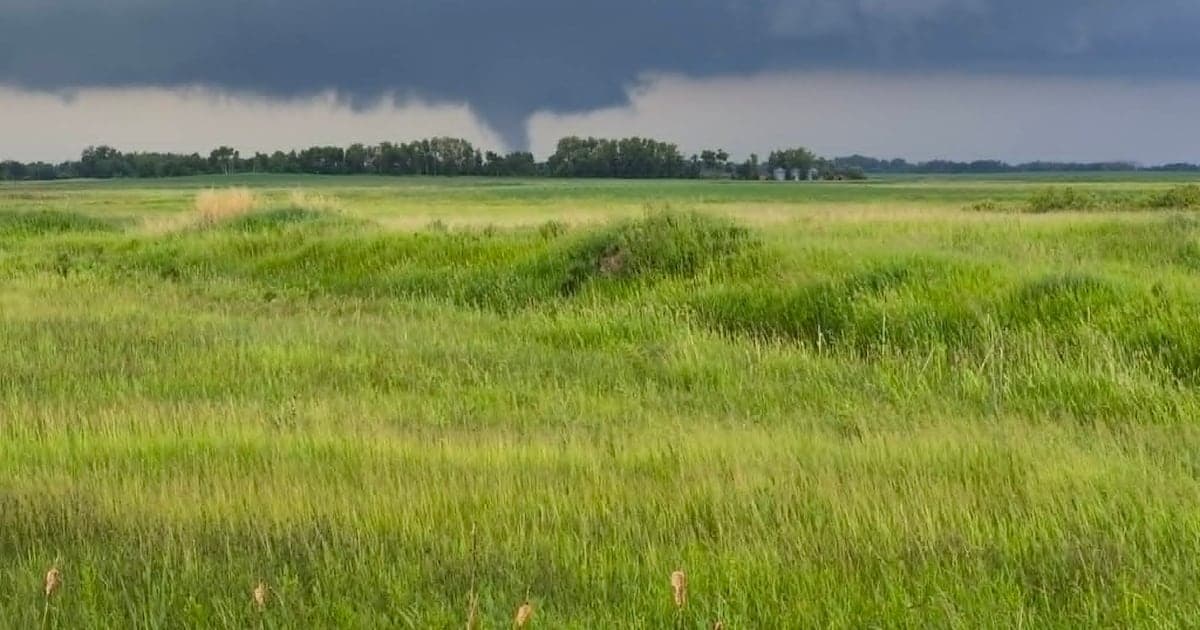 Tornado and Severe Storms Cause Damage Across Manitoba